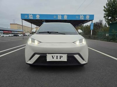 2024年5月 比亞迪 宋L 550km 卓越型圖片