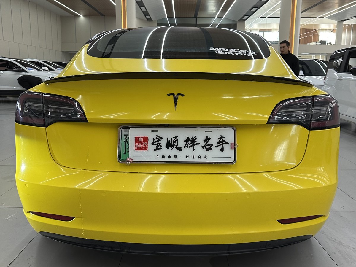 特斯拉 Model 3  2020款 改款 長續(xù)航后輪驅(qū)動版圖片