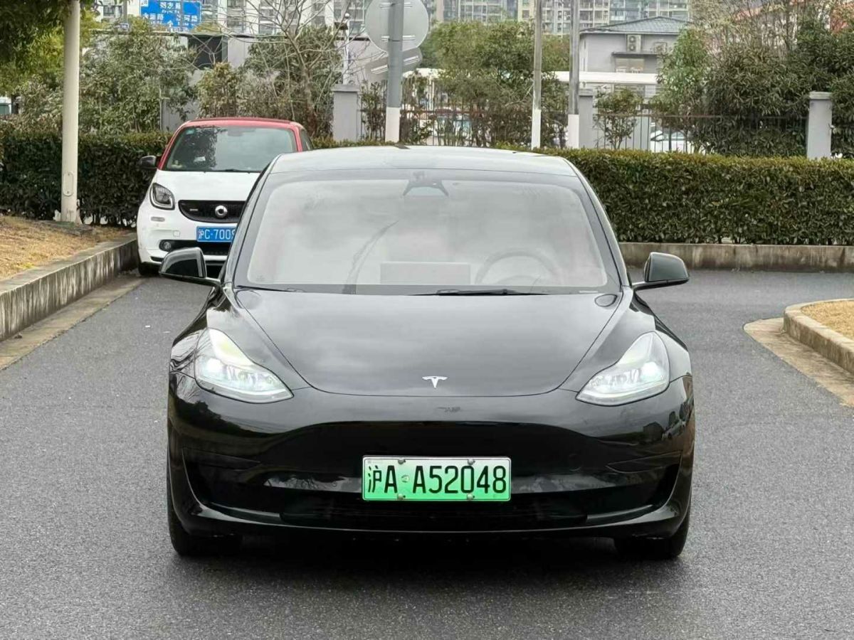 特斯拉 Model 3  2022款 Performance高性能全輪驅(qū)動(dòng)版圖片