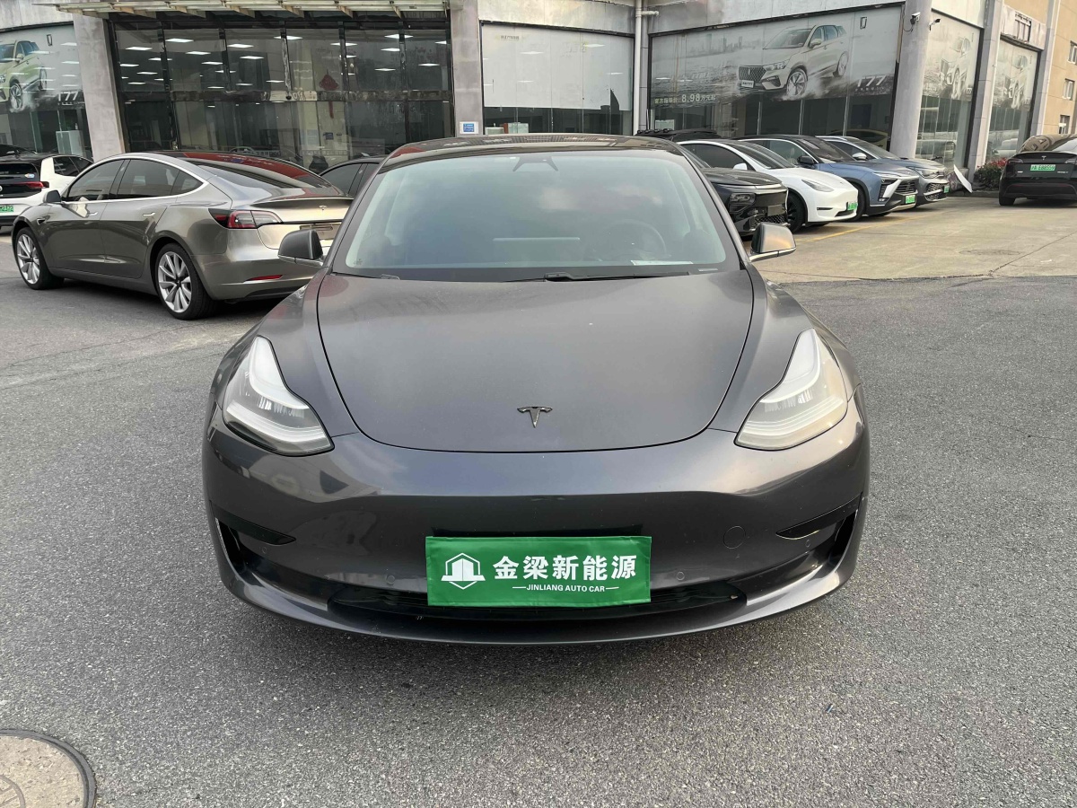 特斯拉 Model 3  2019款 標(biāo)準(zhǔn)續(xù)航后驅(qū)升級版圖片