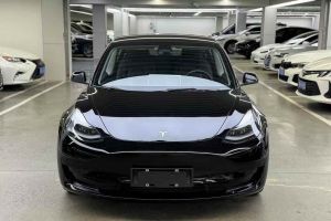 Model Y 特斯拉 Performance高性能全輪驅(qū)動版