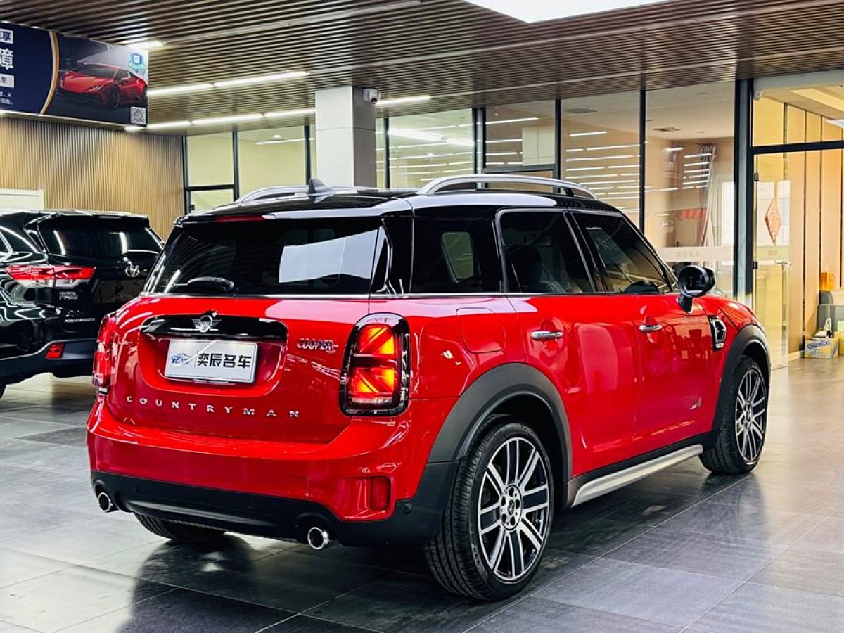 MINI COUNTRYMAN  2019款 2.0T COOPER S ALL4 藝術(shù)家圖片