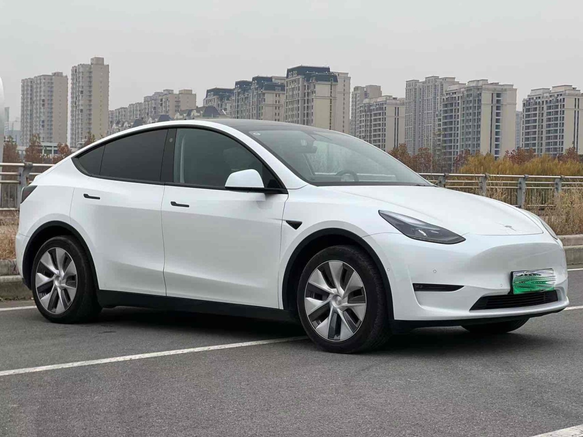 特斯拉 Model 3  2022款 后輪驅(qū)動(dòng)版圖片