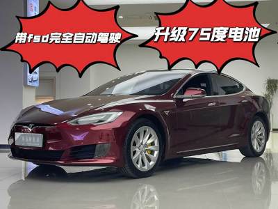 2017年2月 特斯拉 Model S Model S 60图片