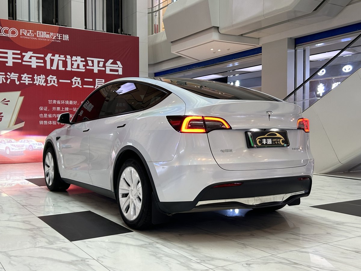 特斯拉 Model Y  2020款 改款 長(zhǎng)續(xù)航后輪驅(qū)動(dòng)版圖片