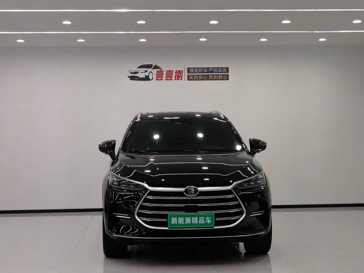 比亞迪 唐新能源  2023款 DM-i 冠軍版 112KM 尊貴型圖片