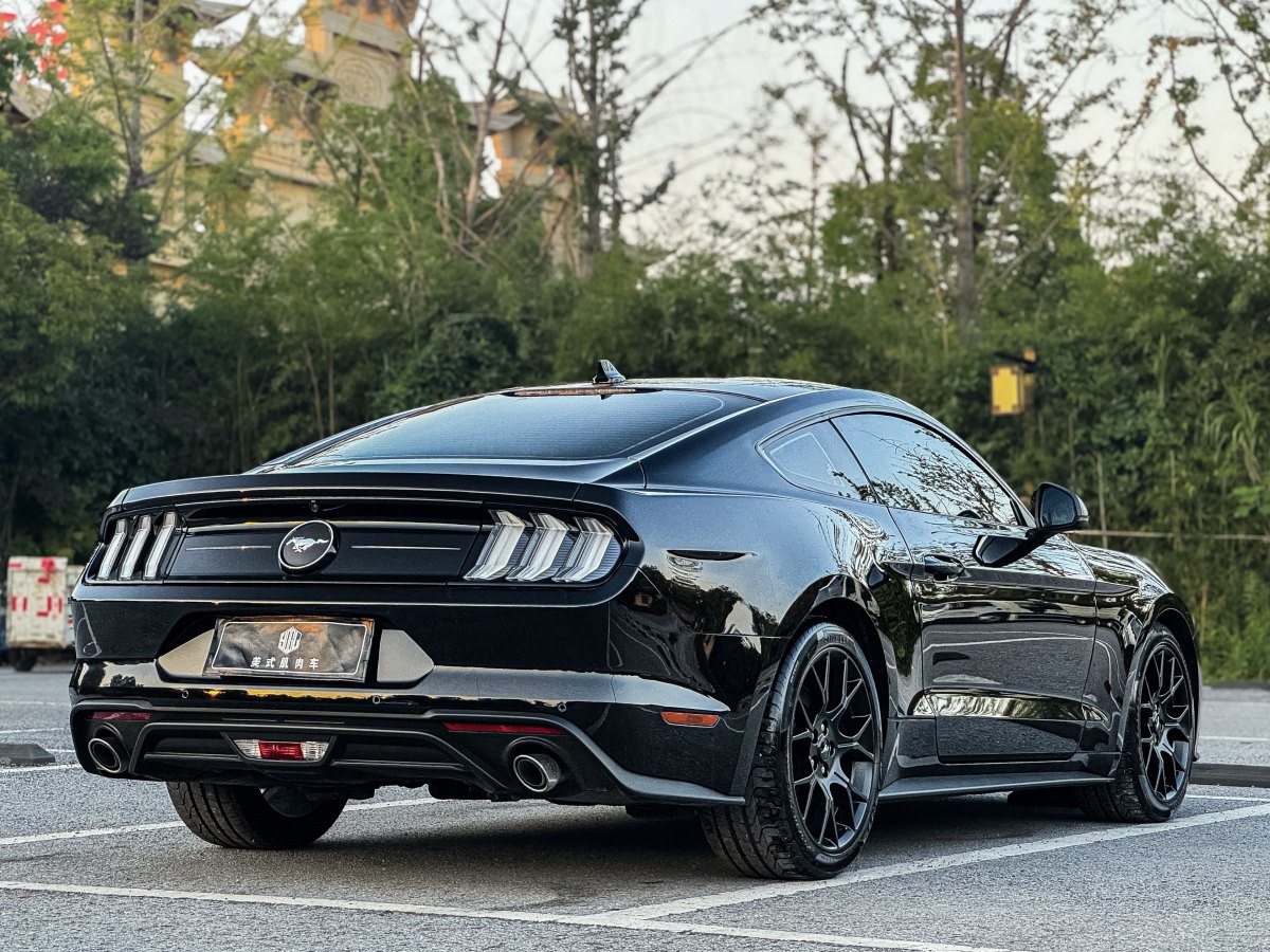 福特 Mustang  2021款 2.3L EcoBoost圖片