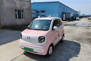 奔騰小馬 奔騰 222km 玲瓏馬