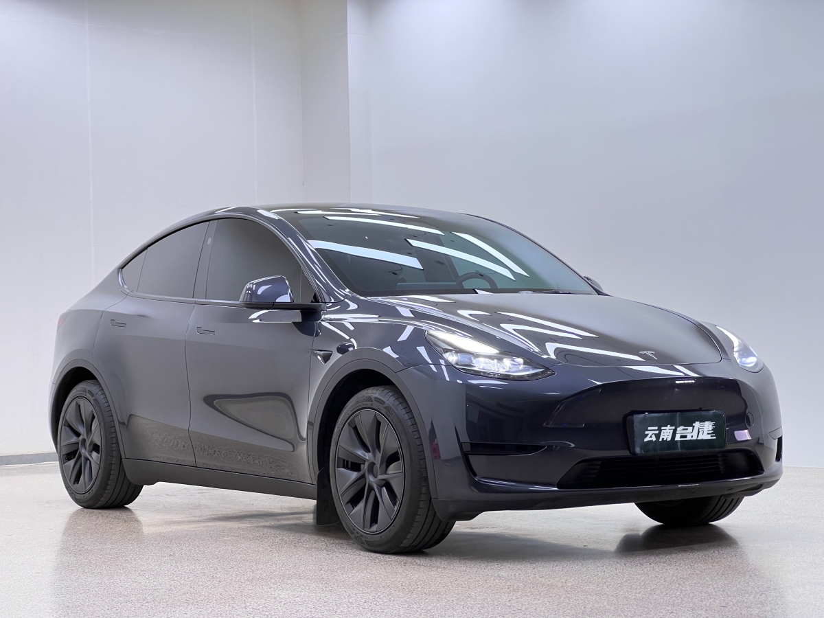 2024年4月特斯拉 Model Y  2020款 改款 長續(xù)航后輪驅(qū)動版