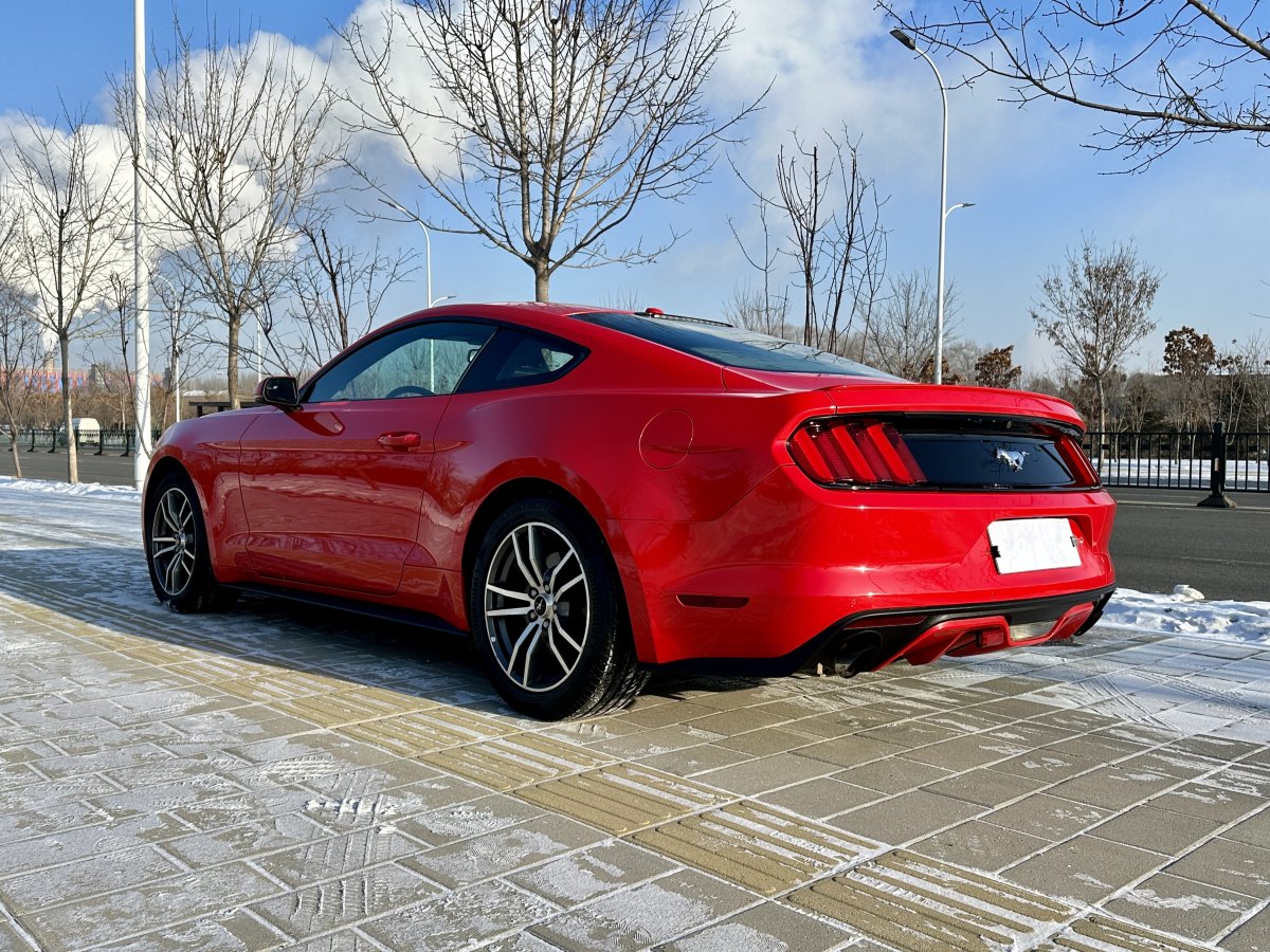 福特 Mustang  2015款 2.3T 性能版圖片