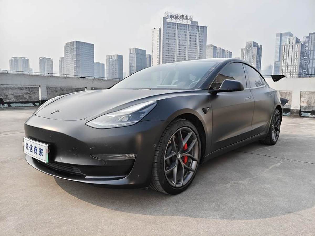 特斯拉 Model Y  2021款 Performance高性能全輪驅(qū)動版圖片