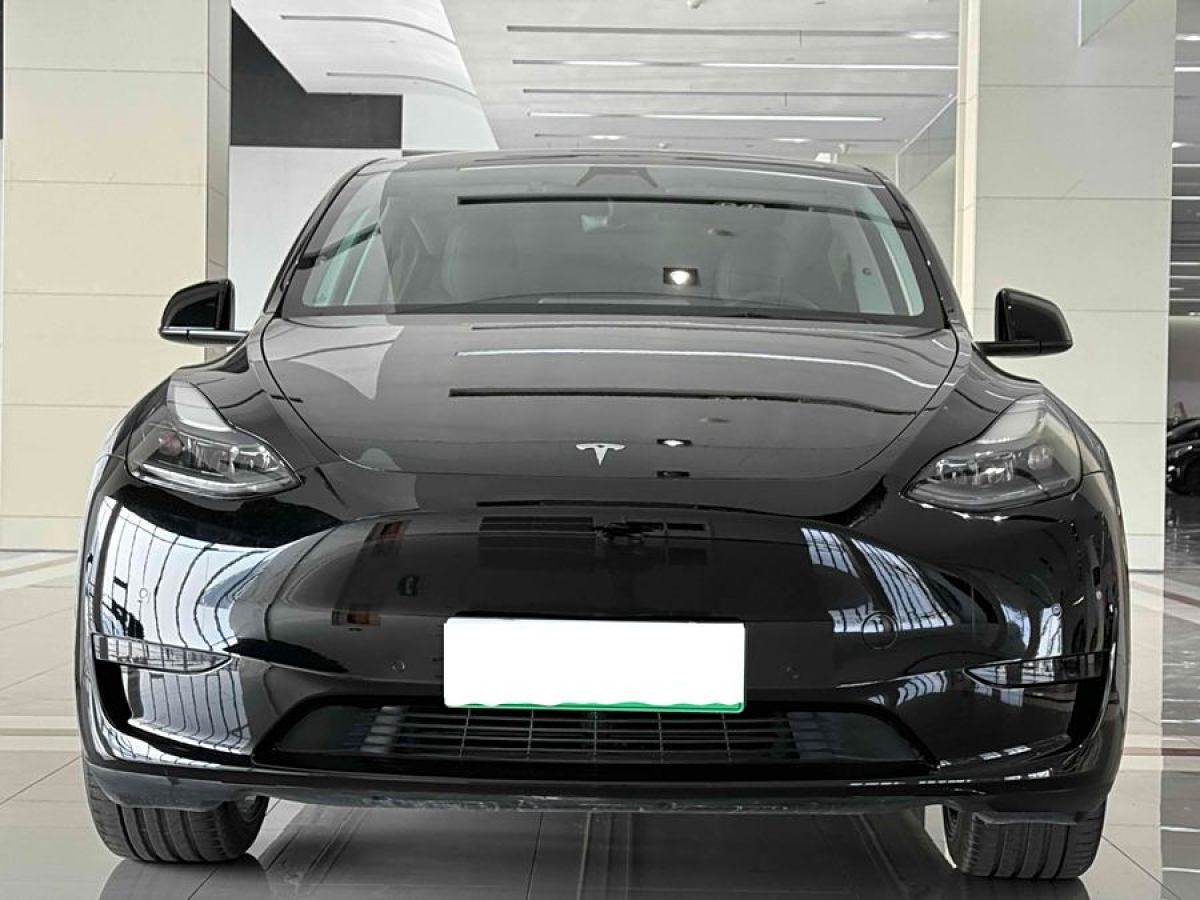 特斯拉 Model 3  2022款 后輪驅(qū)動版圖片