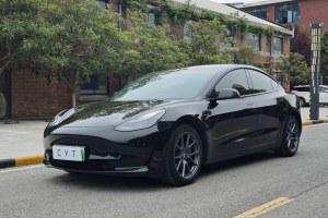 Model 3 特斯拉 后輪驅(qū)動(dòng)版