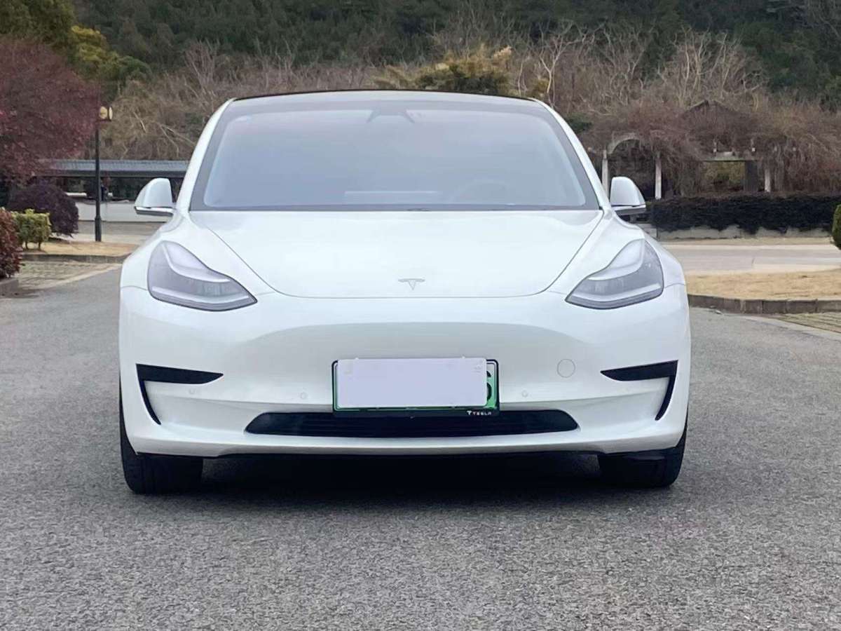 特斯拉 Model 3  2019款 標準續(xù)航后驅升級版圖片