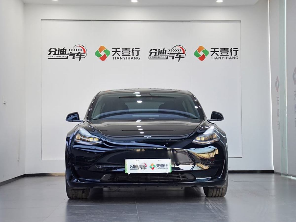 特斯拉 Model 3  2019款 標(biāo)準(zhǔn)續(xù)航后驅(qū)升級(jí)版圖片