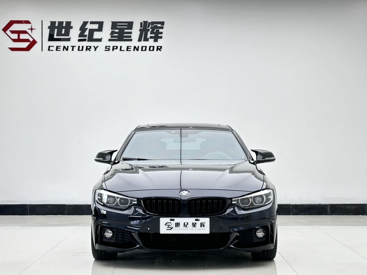 宝马 宝马4系  2019款  430i Gran Coupe M运动曜夜版图片