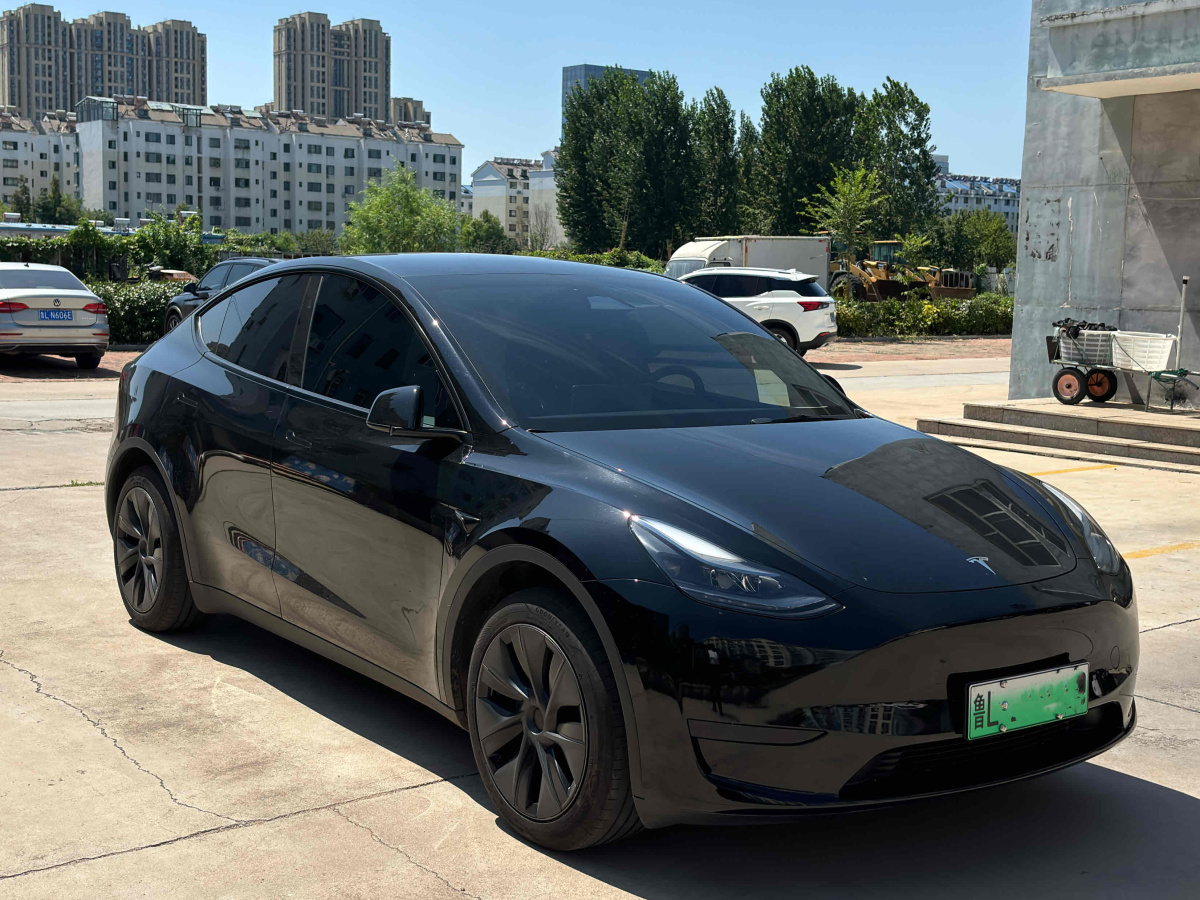 特斯拉 Model 3  2020款 改款 長續(xù)航后輪驅(qū)動版圖片