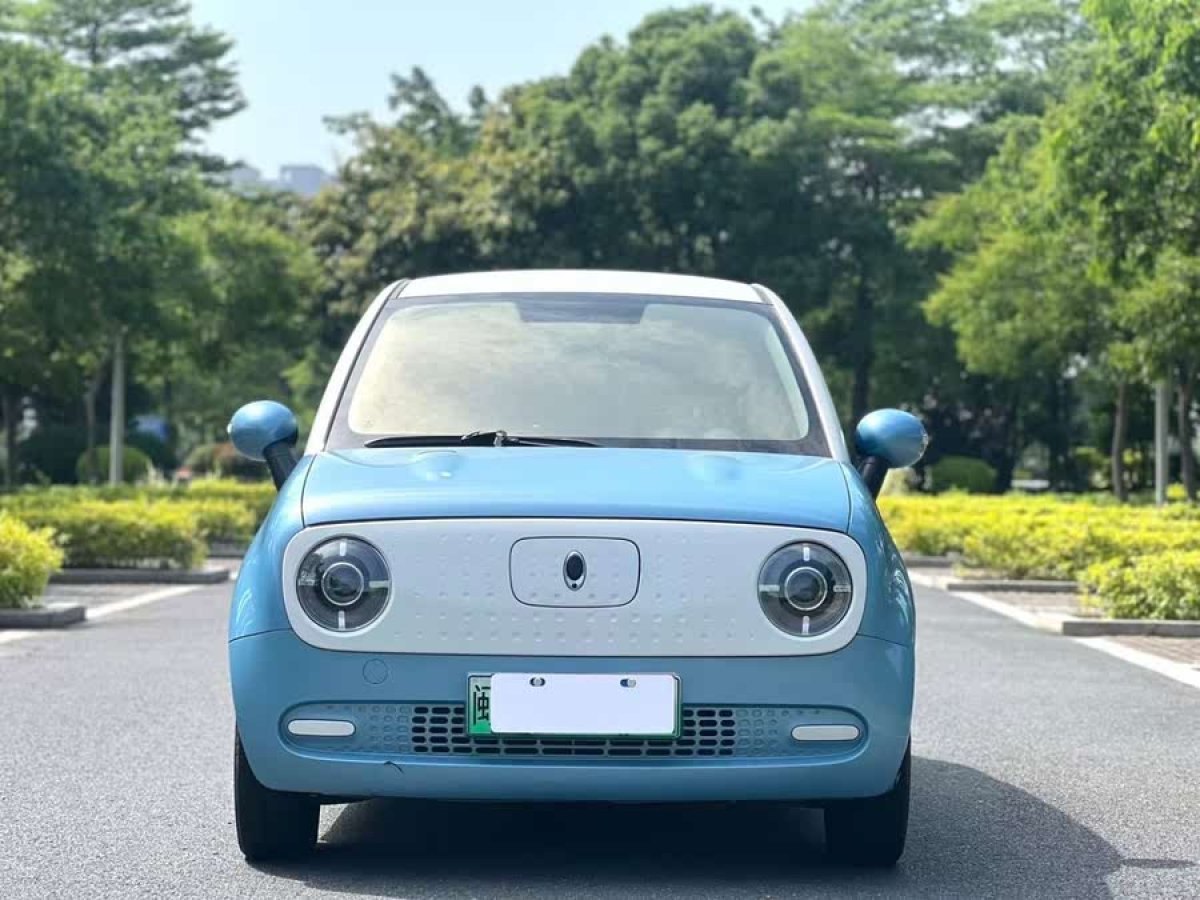 歐拉 歐拉黑貓  2022款 301km 基礎(chǔ)型圖片