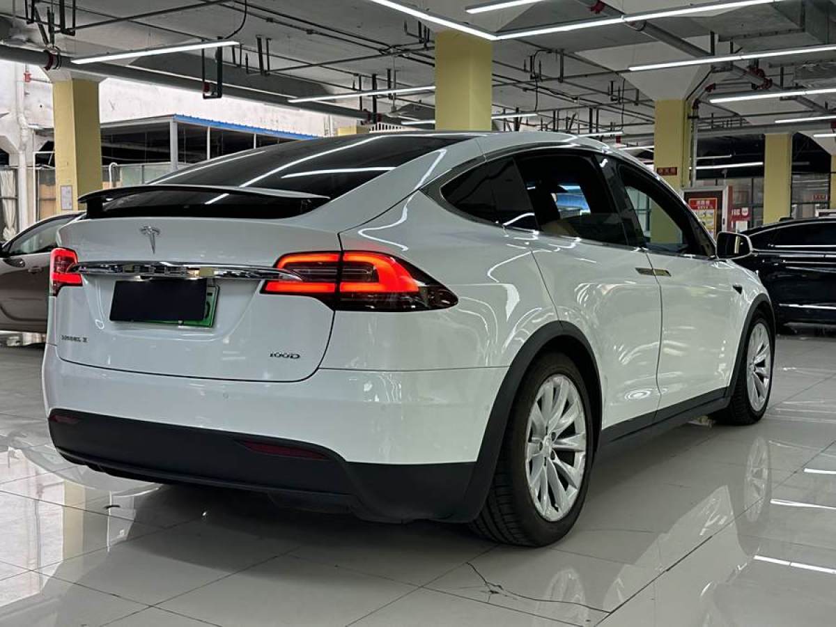 特斯拉 Model X  2019款 長續(xù)航版圖片