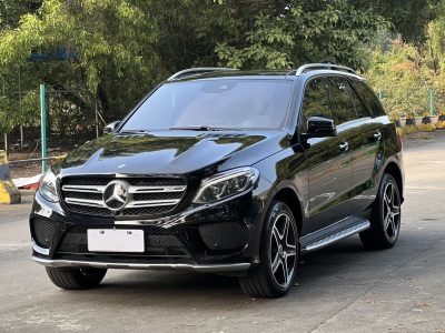 2019年01月 奔馳 奔馳GLE(進口) GLE 320 4MATIC 豪華型臻藏版圖片