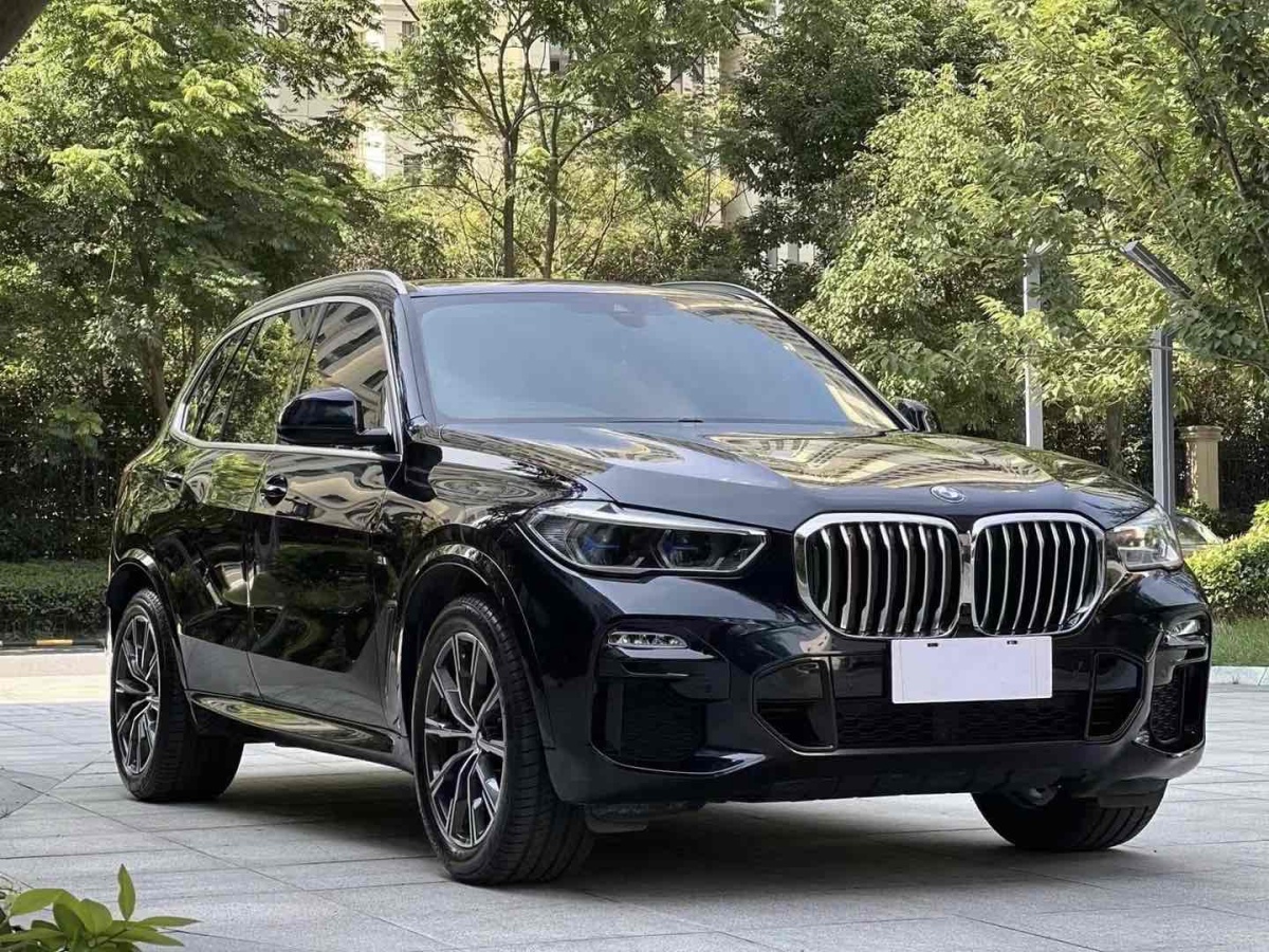 宝马 宝马X5  2019款 xDrive40i M运动套装图片