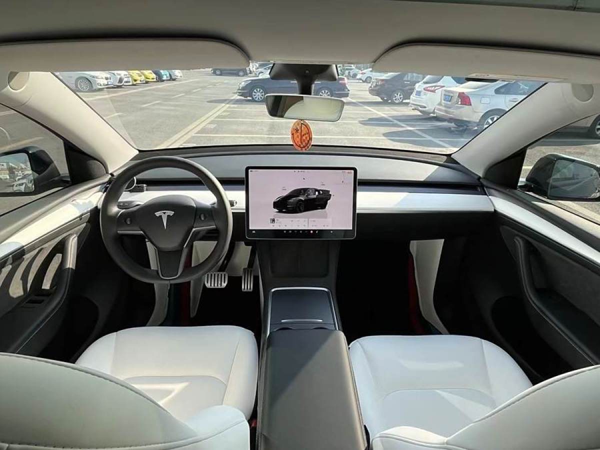 特斯拉 Model 3  2022款 Performance高性能全輪驅(qū)動版圖片