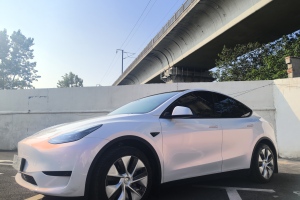 Model Y 特斯拉 改款 后輪驅(qū)動(dòng)版