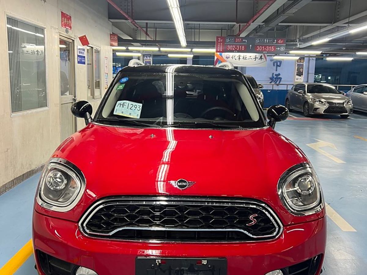 MINI COUNTRYMAN  2018款 2.0T COOPER S ALL4 藝術(shù)家圖片