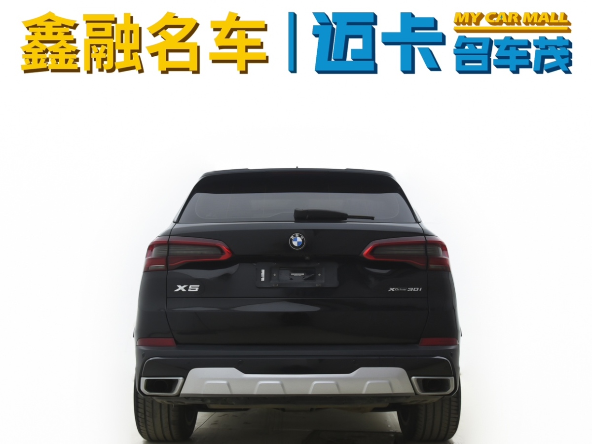 寶馬 寶馬X5  2019款 xDrive30i X設(shè)計(jì)套裝圖片