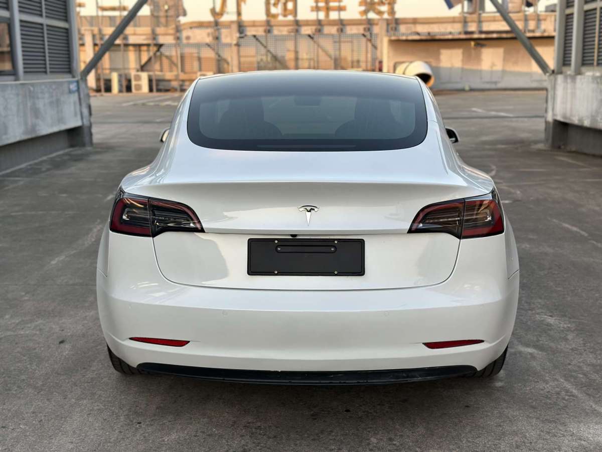 特斯拉 Model 3  2019款 長續(xù)航全輪驅(qū)動(dòng)版圖片