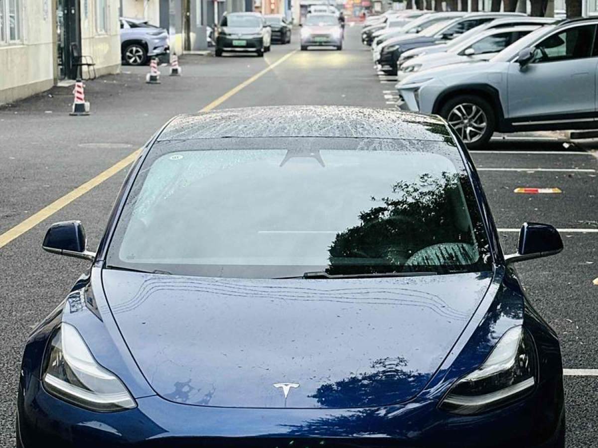 2020年4月特斯拉 Model 3  2019款 標準續(xù)航后驅(qū)升級版