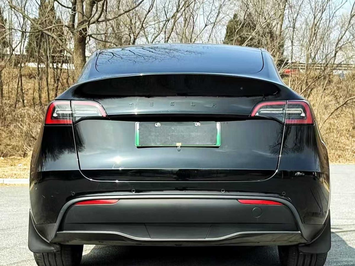 特斯拉 Model S  2023款 三電機全輪驅(qū)動 Plaid版圖片