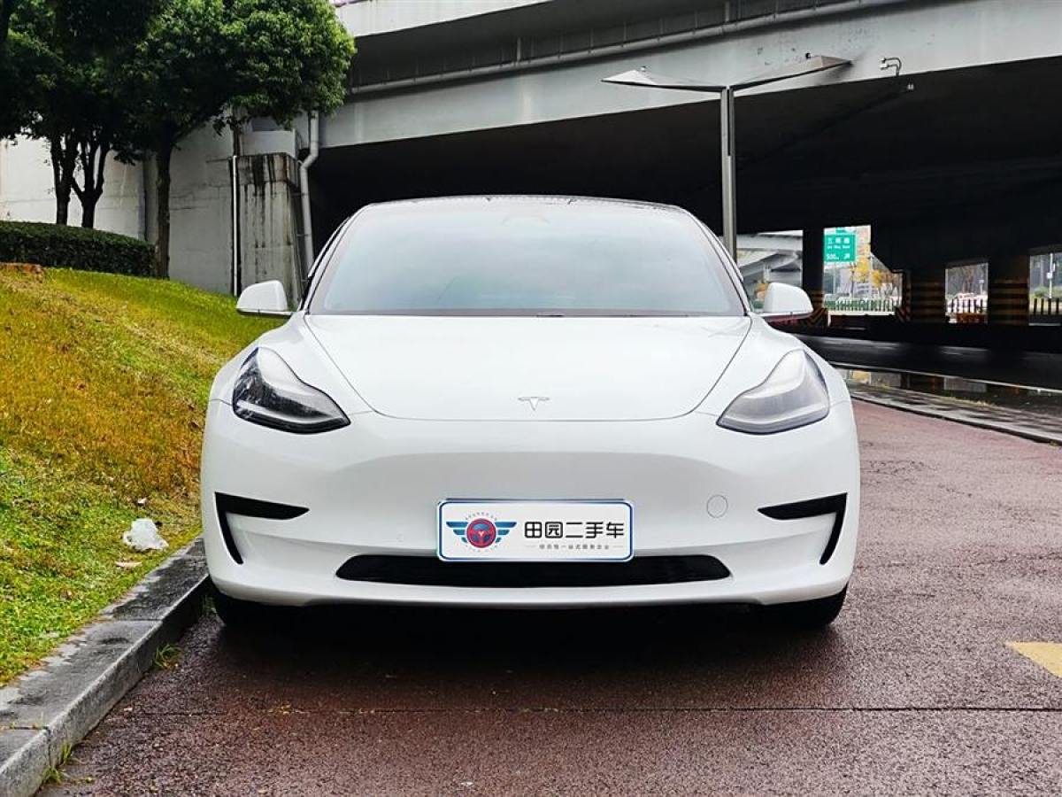 特斯拉 Model 3  2020款 改款 標(biāo)準(zhǔn)續(xù)航后驅(qū)升級版圖片