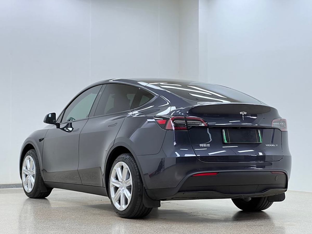 特斯拉 Model Y  2020款 改款 長(zhǎng)續(xù)航后輪驅(qū)動(dòng)版圖片