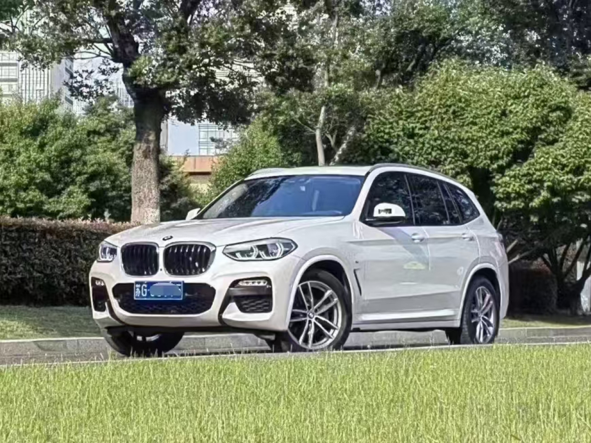 寶馬 寶馬X3  2018款 xDrive30i 領(lǐng)先型 M運(yùn)動(dòng)套裝 國(guó)VI圖片