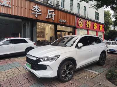 比亞迪 宋Pro新能源 榮耀版 DM-i 110KM卓越型圖片