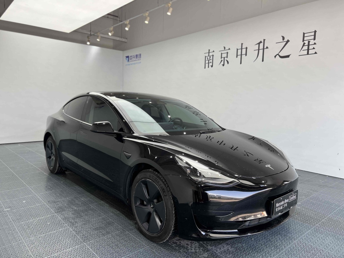 特斯拉 Model 3  2021款 標(biāo)準(zhǔn)續(xù)航后驅(qū)升級版 3D6圖片