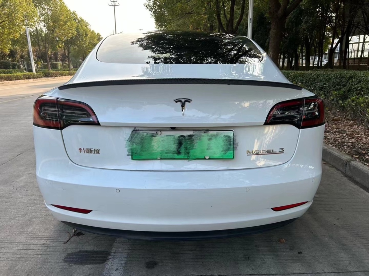 特斯拉 Model 3  2022款 Performance高性能全輪驅(qū)動版圖片