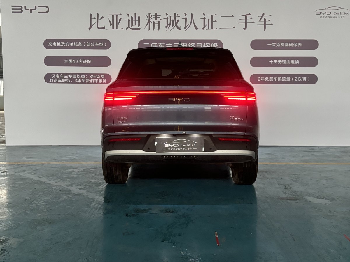 比亞迪 宋Pro新能源  2025款 DM-i 115KM卓越型圖片