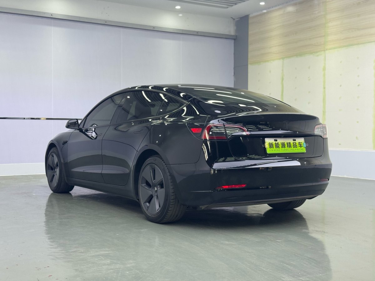 特斯拉 Model 3  2019款 標(biāo)準(zhǔn)續(xù)航后驅(qū)升級(jí)版圖片