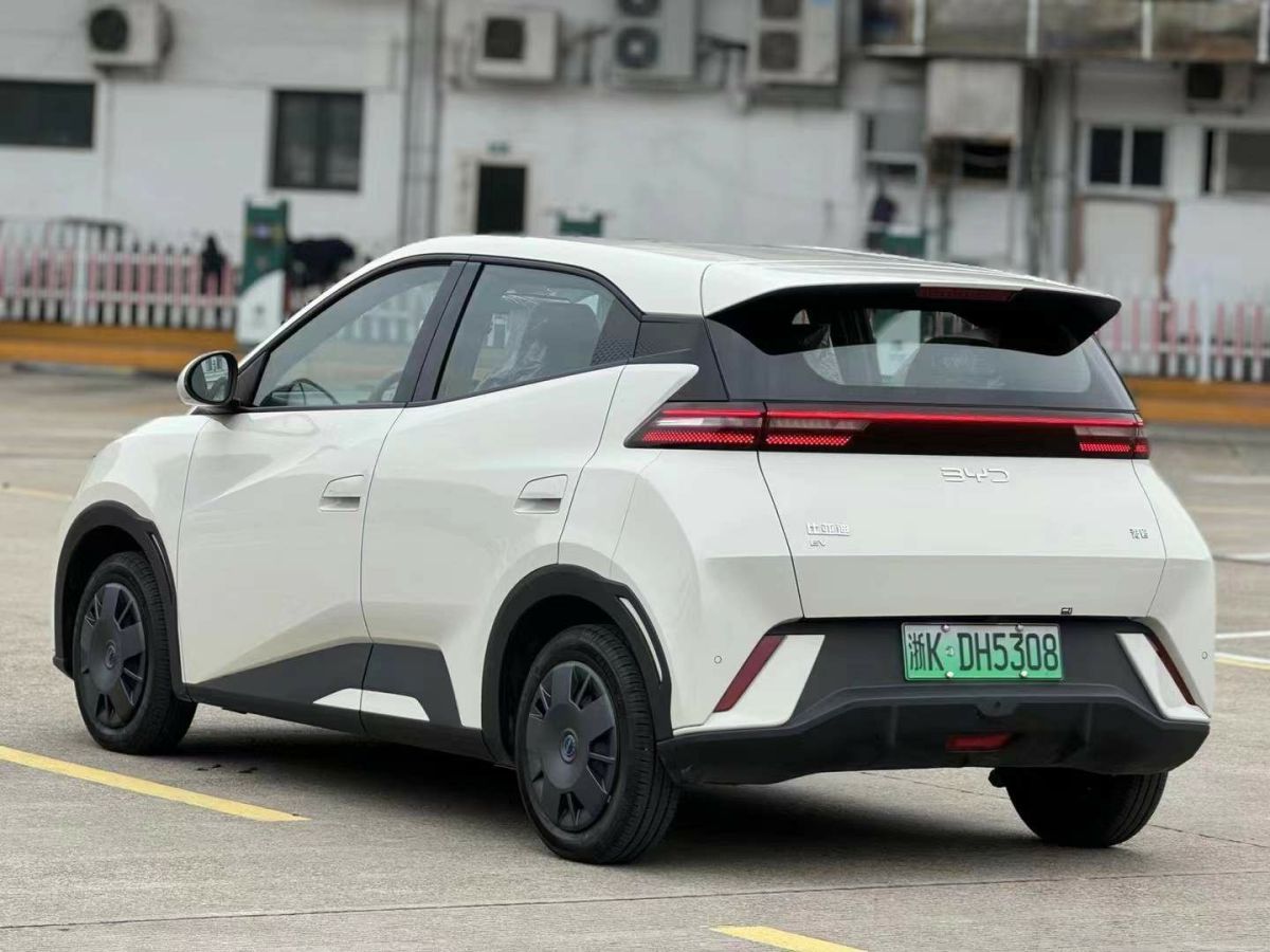 比亞迪 宋L DM-i  2024款 112km 超越型圖片