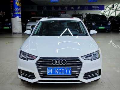 2019年4月 奧迪 奧迪A4L 30周年年型 40 TFSI 進取型圖片
