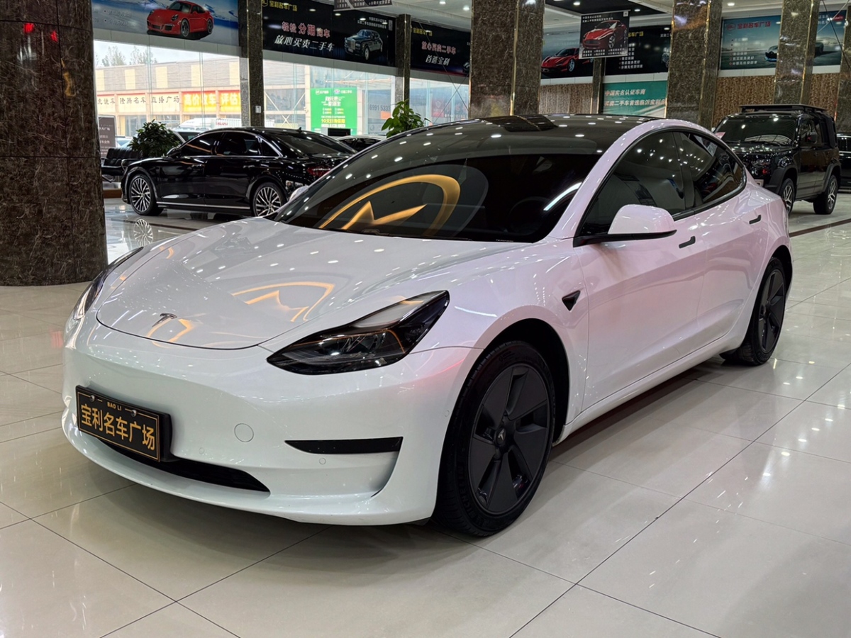 2021年2月特斯拉 Model 3  2021款 標(biāo)準(zhǔn)續(xù)航后驅(qū)升級版