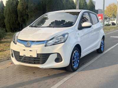 2019年4月 長安 奔奔EV 改款 EV360 標(biāo)準(zhǔn)型圖片