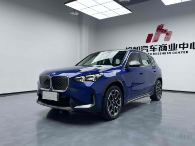 2023年11月 寶馬 寶馬iX1 xDrive30L X設(shè)計(jì)套裝圖片