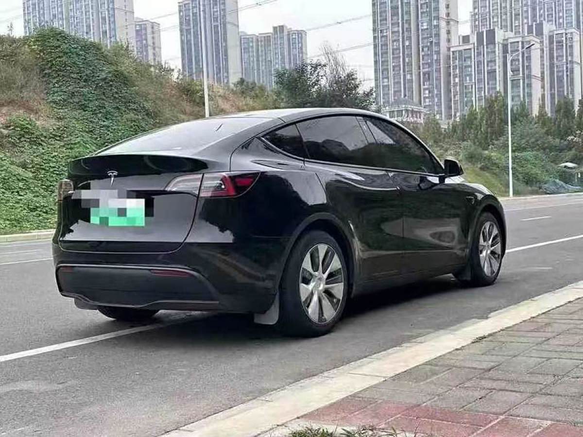 特斯拉 Model Y  2022款 后輪驅(qū)動版圖片