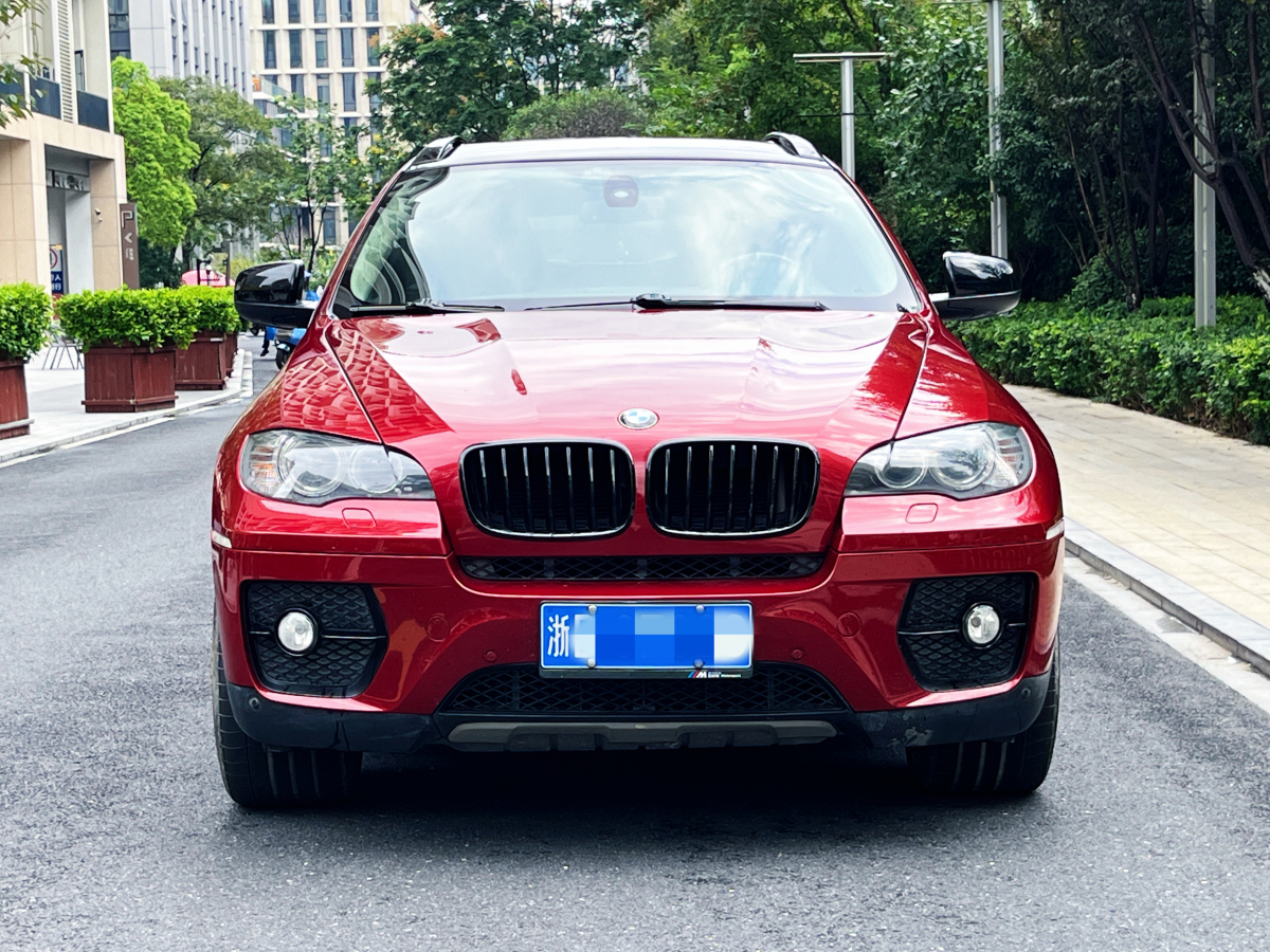 寶馬 寶馬X6  2009款 xDrive35i圖片