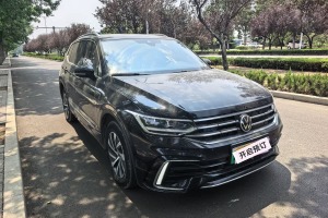 途觀L新能源 大眾 430PHEV 插電混動(dòng)尊貴版