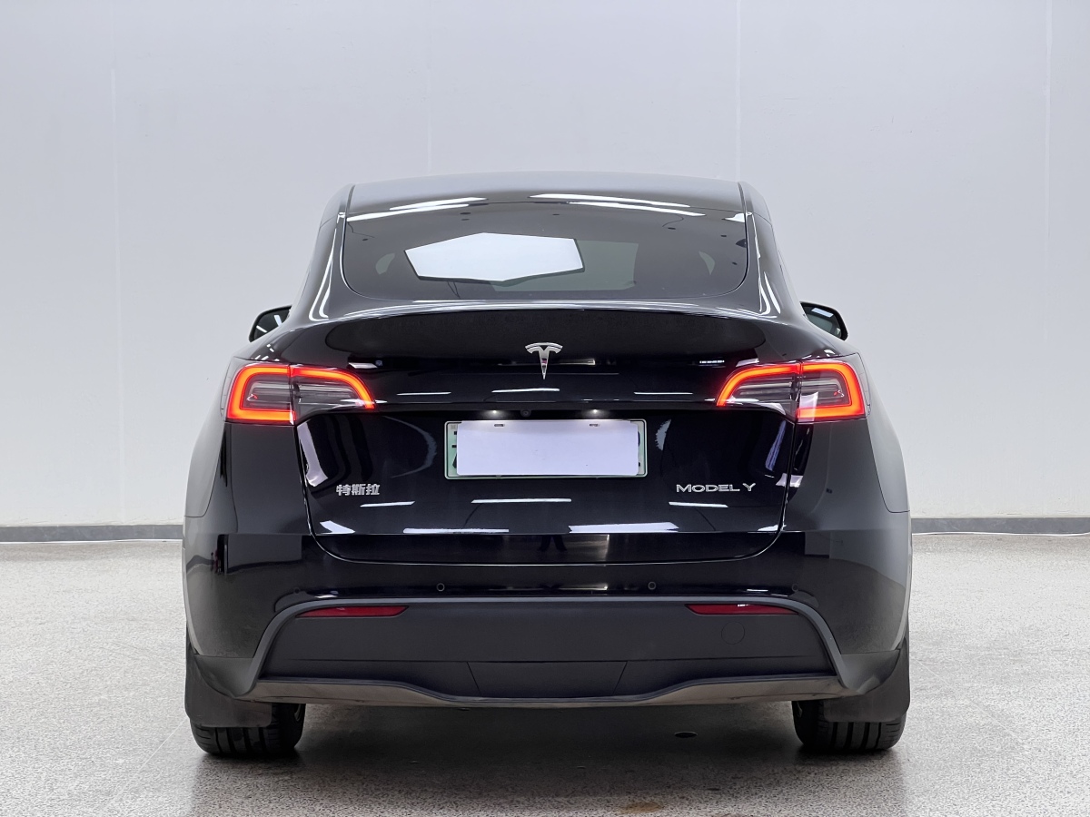 特斯拉 Model Y  2021款 改款 標(biāo)準(zhǔn)續(xù)航后驅(qū)升級(jí)版圖片