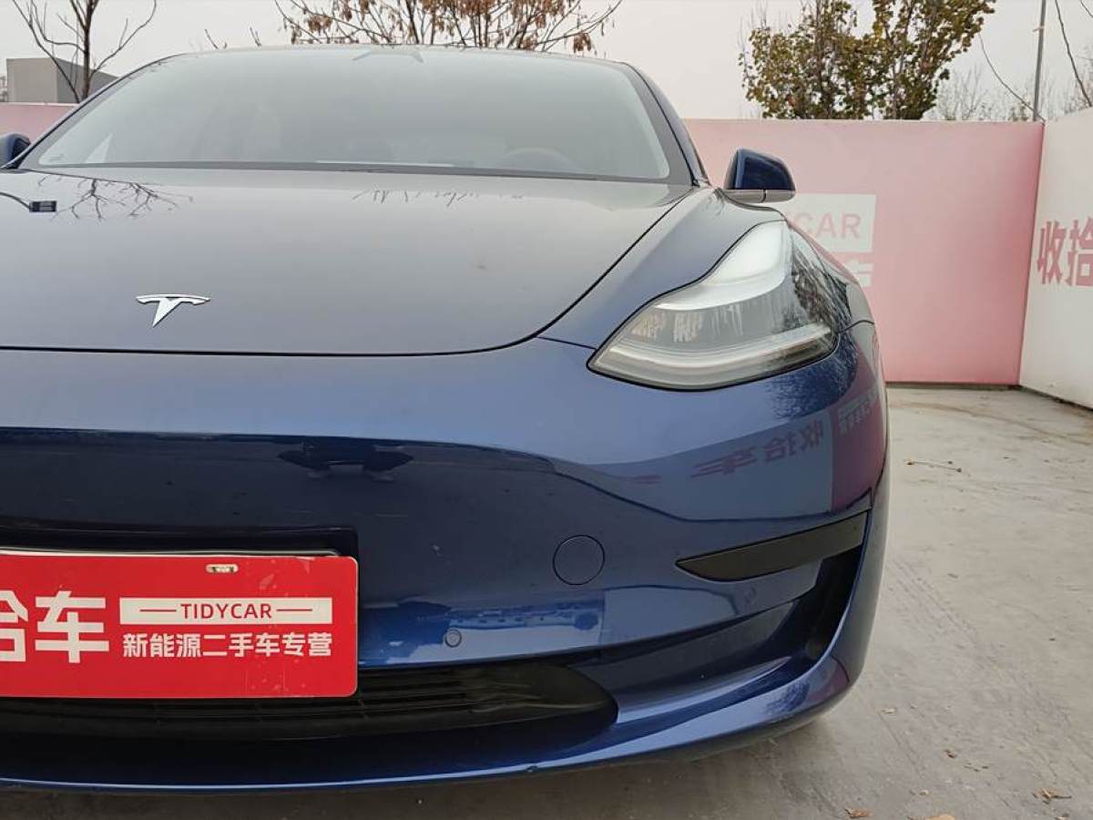 特斯拉 Model 3  2019款 標(biāo)準(zhǔn)續(xù)航后驅(qū)升級(jí)版圖片